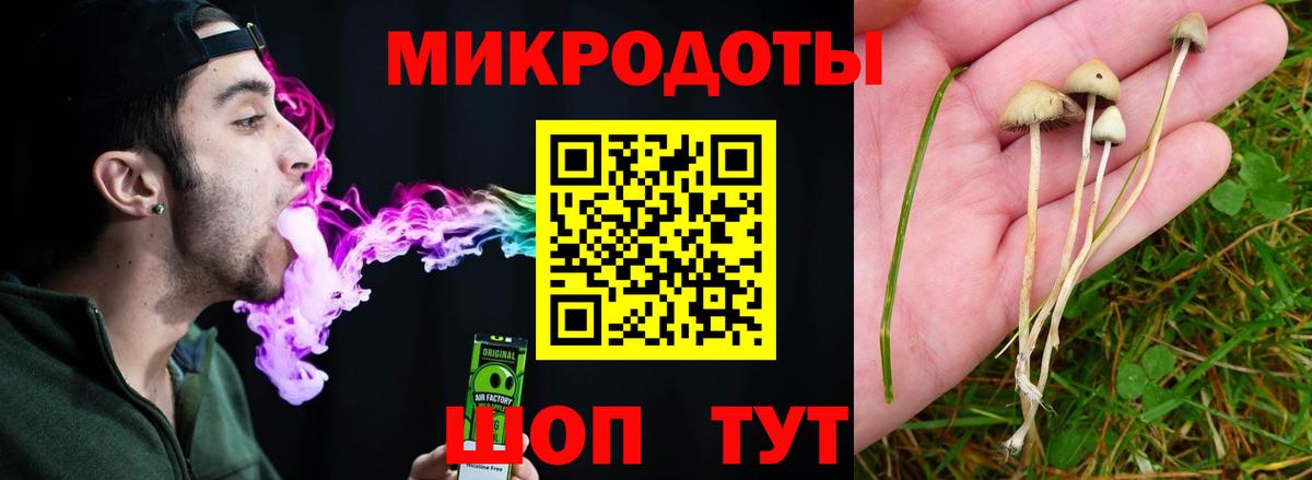 Галлюциногенные грибы Cubensis Батайск